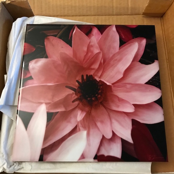 Water Lily Original Photo Art on Ceramic - Picture 5 of 6